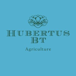 Hubertus Bt.